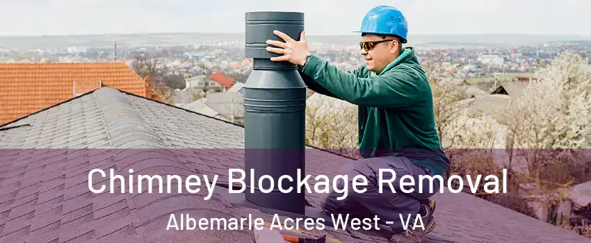Chimney Blockage Removal Albemarle Acres West - VA
