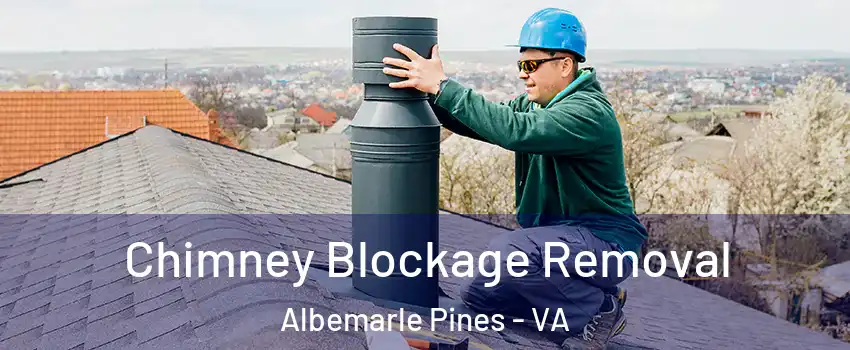Chimney Blockage Removal Albemarle Pines - VA