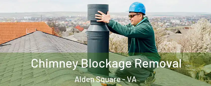 Chimney Blockage Removal Alden Square - VA