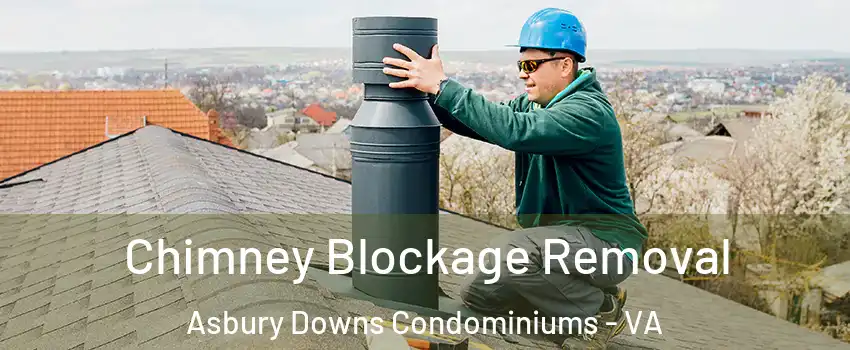 Chimney Blockage Removal Asbury Downs Condominiums - VA