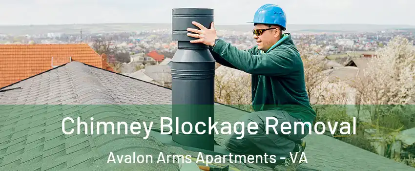 Chimney Blockage Removal Avalon Arms Apartments - VA