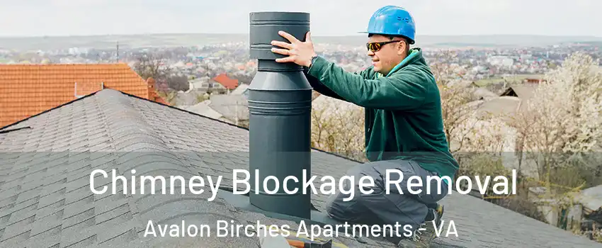 Chimney Blockage Removal Avalon Birches Apartments - VA