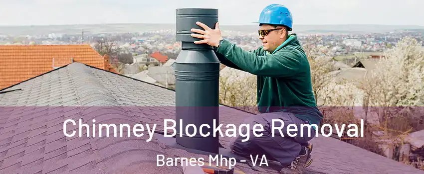Chimney Blockage Removal Barnes Mhp - VA