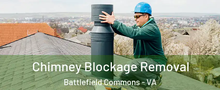 Chimney Blockage Removal Battlefield Commons - VA