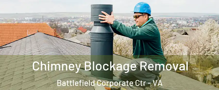 Chimney Blockage Removal Battlefield Corporate Ctr - VA