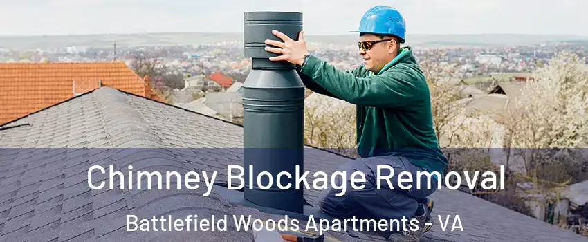 Chimney Blockage Removal Battlefield Woods Apartments - VA