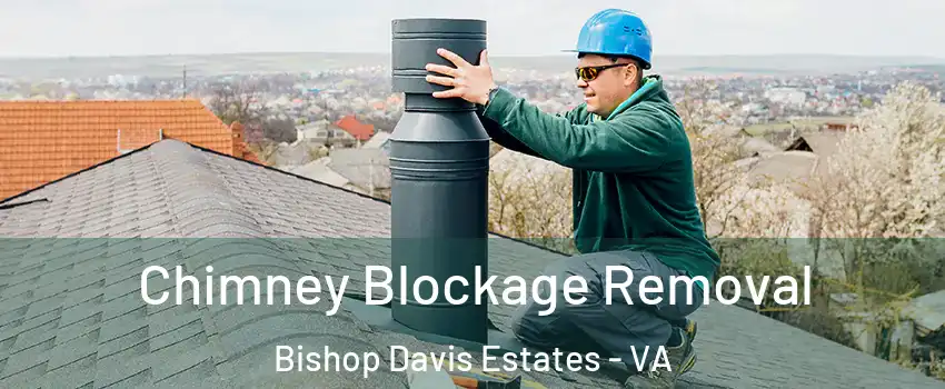 Chimney Blockage Removal Bishop Davis Estates - VA