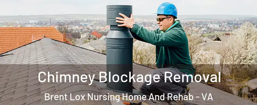 Chimney Blockage Removal Brent Lox Nursing Home And Rehab - VA