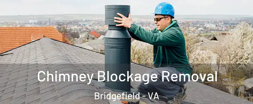 Chimney Blockage Removal Bridgefield - VA