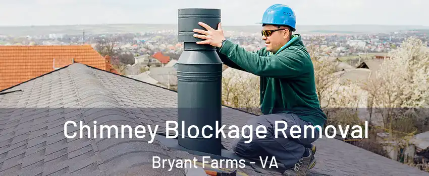 Chimney Blockage Removal Bryant Farms - VA