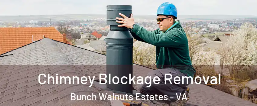 Chimney Blockage Removal Bunch Walnuts Estates - VA