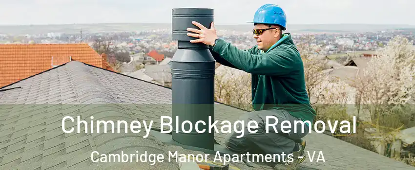 Chimney Blockage Removal Cambridge Manor Apartments - VA