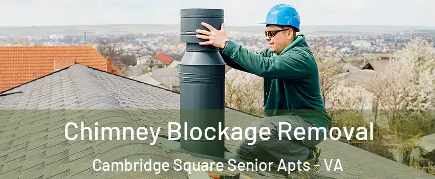 Chimney Blockage Removal Cambridge Square Senior Apts - VA
