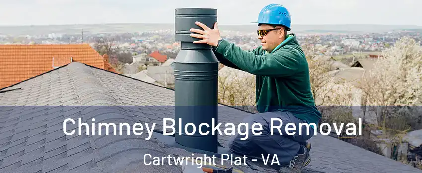 Chimney Blockage Removal Cartwright Plat - VA