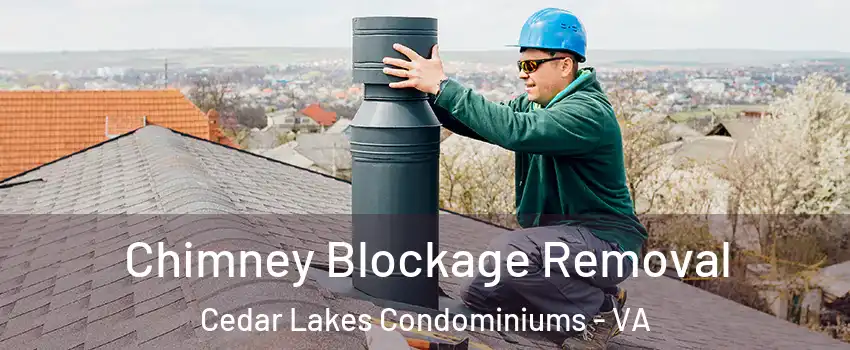 Chimney Blockage Removal Cedar Lakes Condominiums - VA