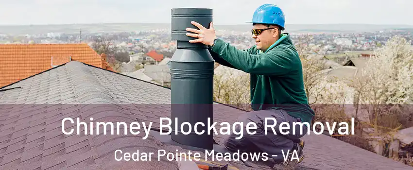Chimney Blockage Removal Cedar Pointe Meadows - VA