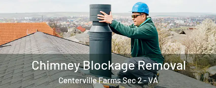 Chimney Blockage Removal Centerville Farms Sec 2 - VA