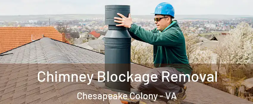 Chimney Blockage Removal Chesapeake Colony - VA