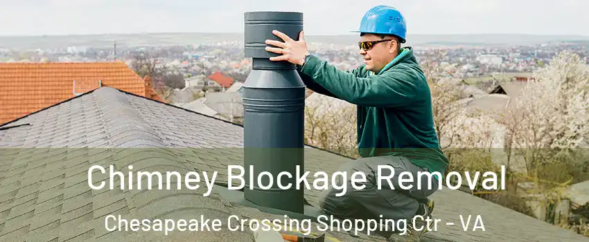 Chimney Blockage Removal Chesapeake Crossing Shopping Ctr - VA