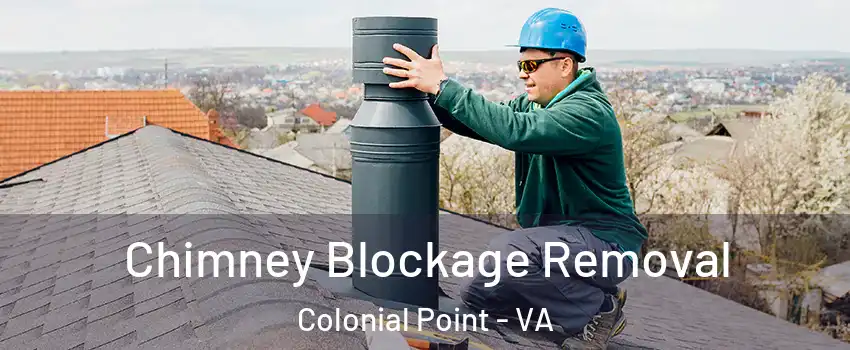 Chimney Blockage Removal Colonial Point - VA