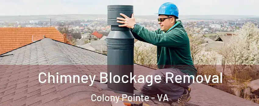 Chimney Blockage Removal Colony Pointe - VA