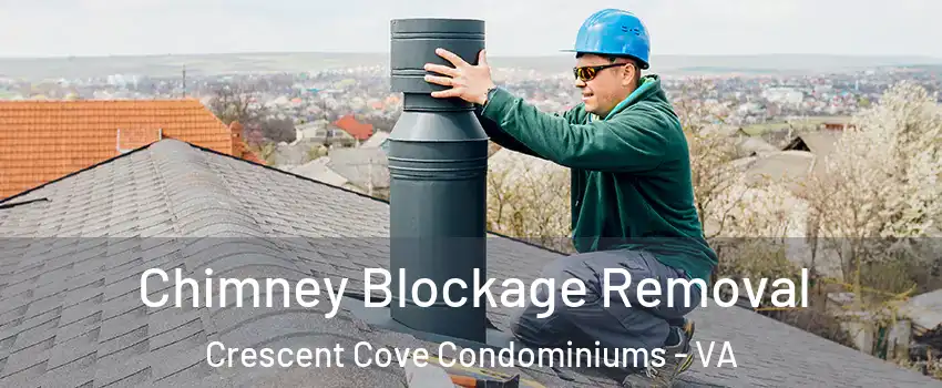 Chimney Blockage Removal Crescent Cove Condominiums - VA