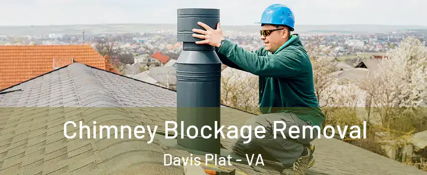 Chimney Blockage Removal Davis Plat - VA