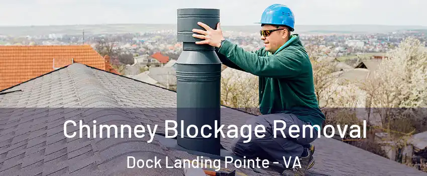 Chimney Blockage Removal Dock Landing Pointe - VA