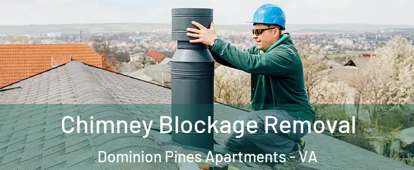 Chimney Blockage Removal Dominion Pines Apartments - VA