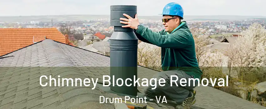 Chimney Blockage Removal Drum Point - VA