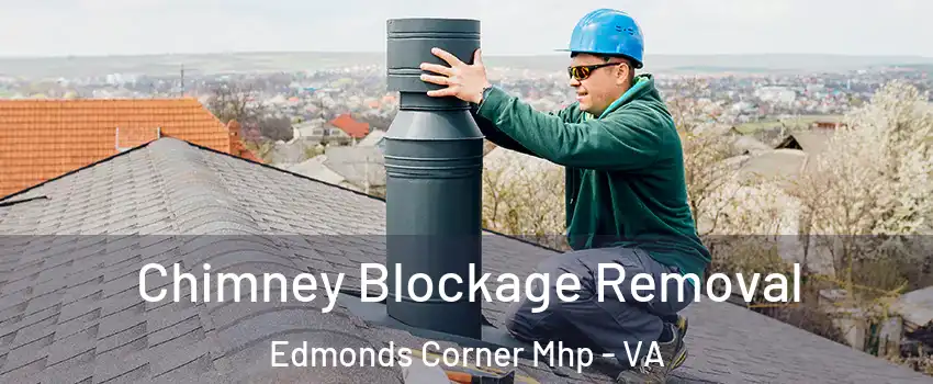 Chimney Blockage Removal Edmonds Corner Mhp - VA