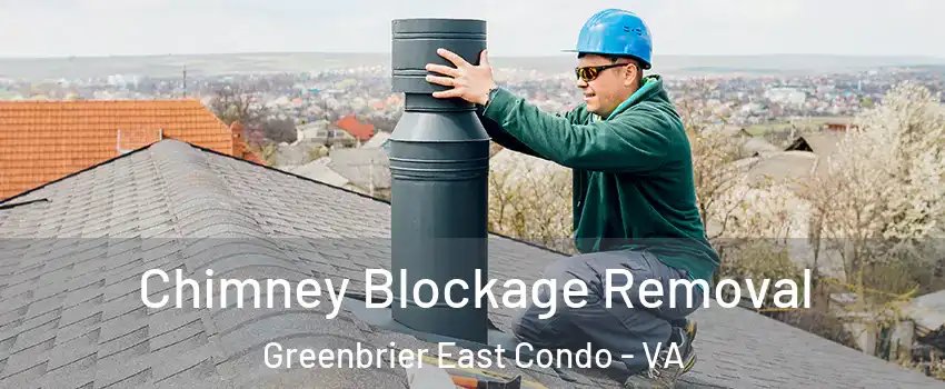 Chimney Blockage Removal Greenbrier East Condo - VA
