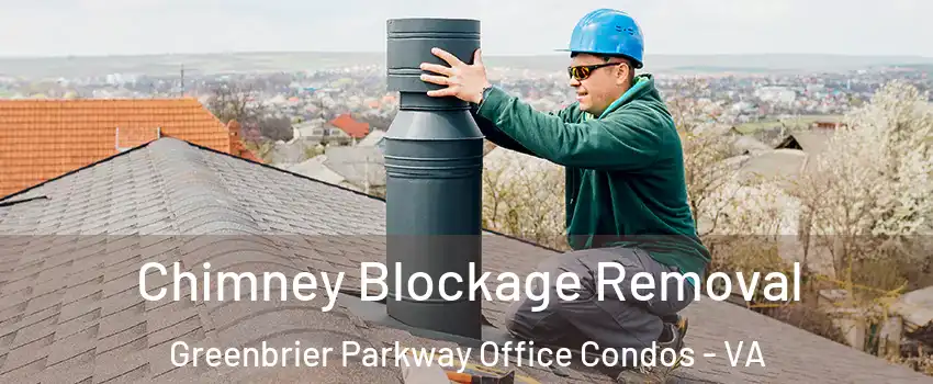 Chimney Blockage Removal Greenbrier Parkway Office Condos - VA