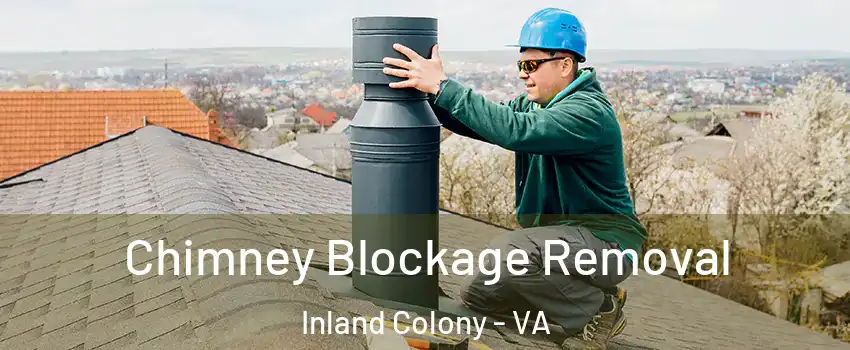 Chimney Blockage Removal Inland Colony - VA