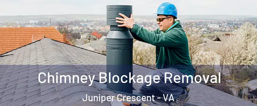 Chimney Blockage Removal Juniper Crescent - VA