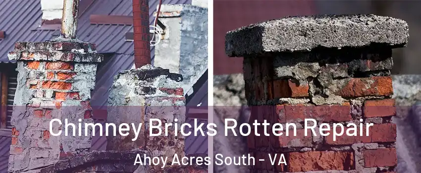 Chimney Bricks Rotten Repair Ahoy Acres South - VA