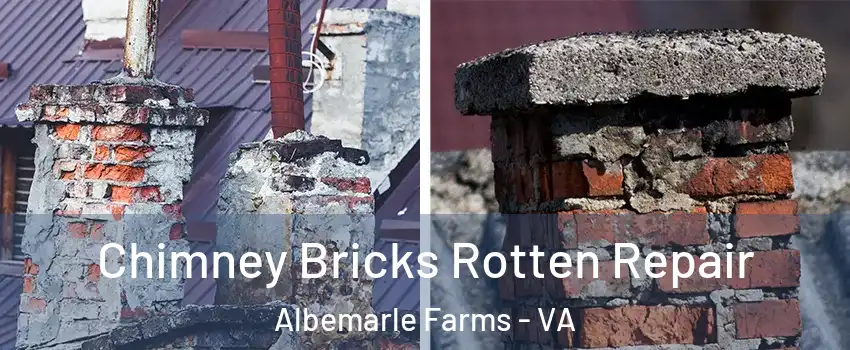 Chimney Bricks Rotten Repair Albemarle Farms - VA