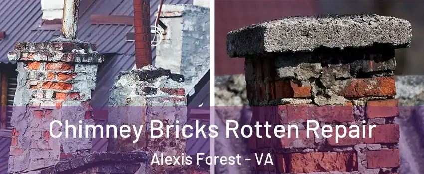 Chimney Bricks Rotten Repair Alexis Forest - VA