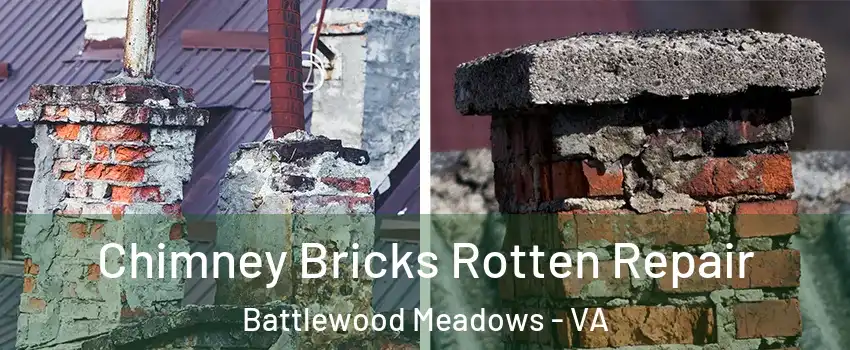 Chimney Bricks Rotten Repair Battlewood Meadows - VA