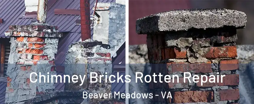 Chimney Bricks Rotten Repair Beaver Meadows - VA