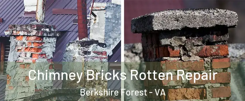 Chimney Bricks Rotten Repair Berkshire Forest - VA