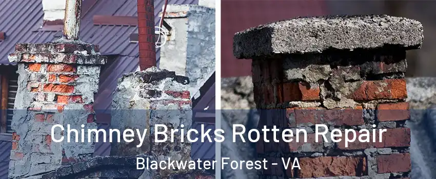 Chimney Bricks Rotten Repair Blackwater Forest - VA