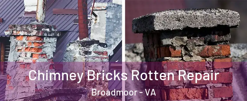 Chimney Bricks Rotten Repair Broadmoor - VA