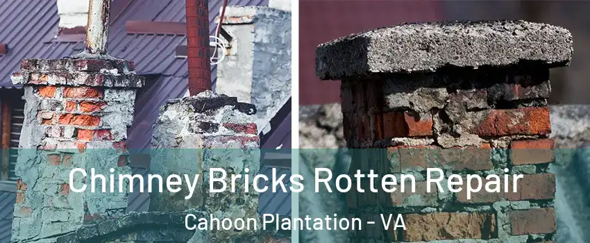 Chimney Bricks Rotten Repair Cahoon Plantation - VA