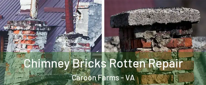Chimney Bricks Rotten Repair Caroon Farms - VA