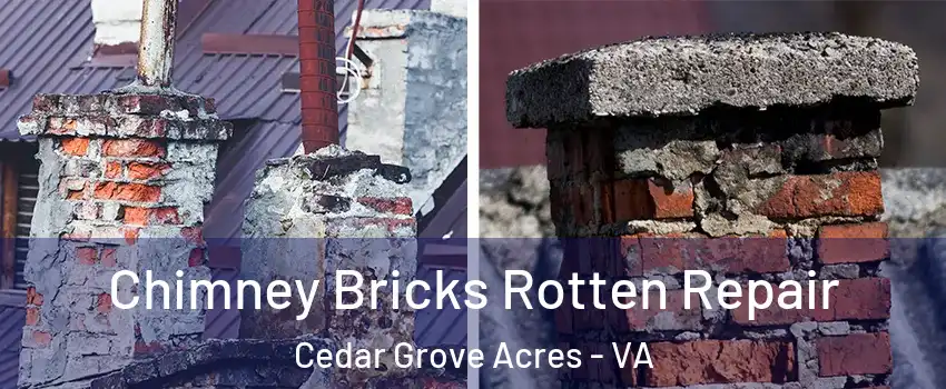 Chimney Bricks Rotten Repair Cedar Grove Acres - VA