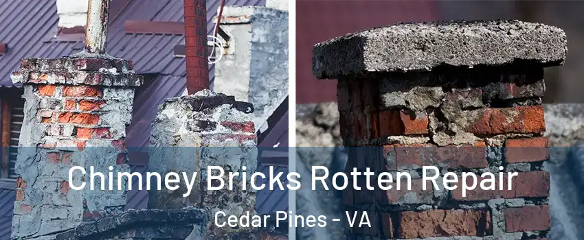Chimney Bricks Rotten Repair Cedar Pines - VA
