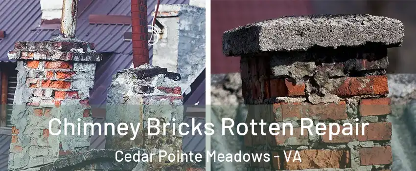 Chimney Bricks Rotten Repair Cedar Pointe Meadows - VA