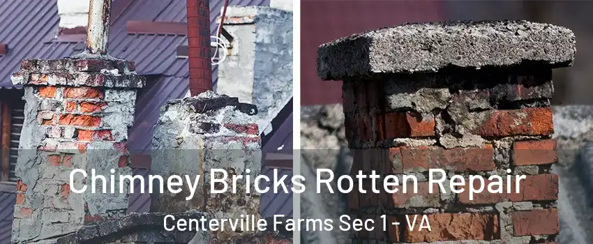 Chimney Bricks Rotten Repair Centerville Farms Sec 1 - VA