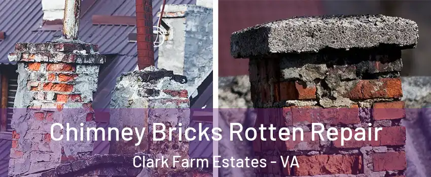 Chimney Bricks Rotten Repair Clark Farm Estates - VA